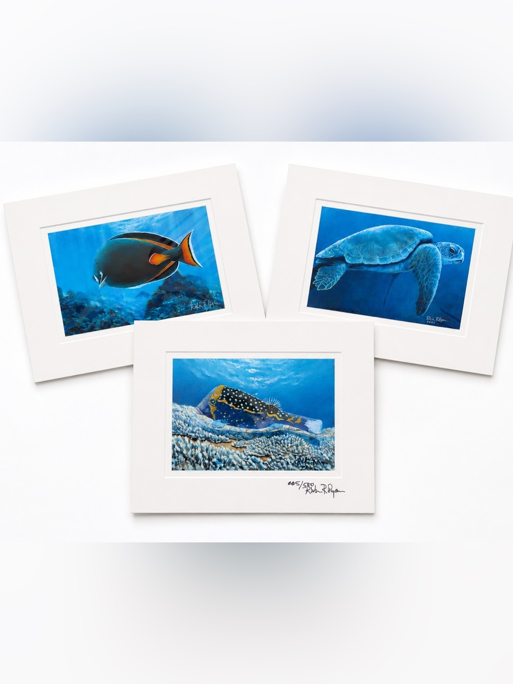 Robin R. Ryan Signed Limited Edition Marine Life Art Prints Set of 3